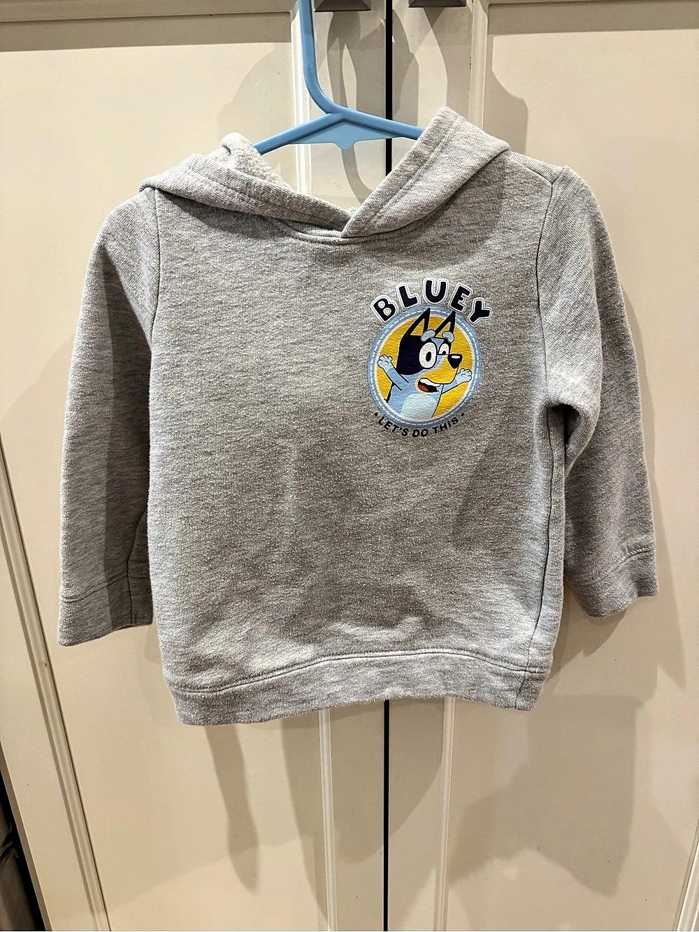 Bluey character hoodie Gray 3T